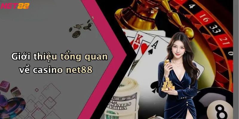 Giới thiệu tổng quan về casino net88